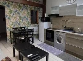 DIJON Super appartement F1 bis climatisé mezzanine