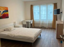Freihof Apartments, hotel v destinaci Brugg