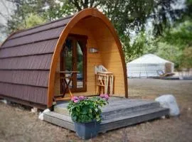 Cabane en bois POD 1