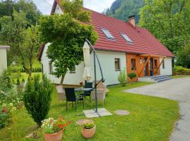 Apartmaji pri Dravi, Skiresort in Podvelka