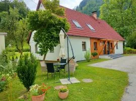 Apartmaji pri Dravi