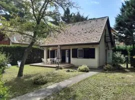 Retro Kuckó