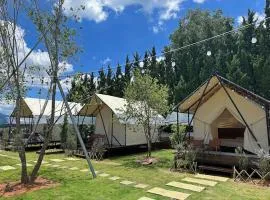 Santolina Homestay - Tây Hồ Hill