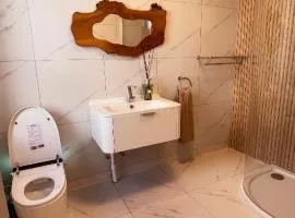Croke park apartment