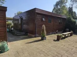 Nice chalet for 4 people on the Veluwe NEW
