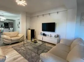 Luxury apartment in city center