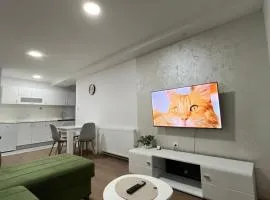 Rankovic Apartmani 1
