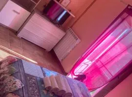 Sophie`s Home