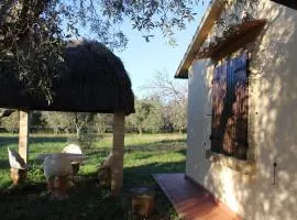 Cottage with a great fenced garden in the Tuscan countryside