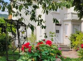 Gîte fleuri Le Marronnier au calme, avec grande terrasse, parking, clim, barbecue, village médiéval avec commerces à 150m