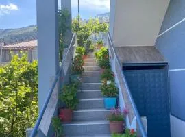 Guest House Zotkaj