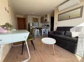 Departamento Chillan céntrico