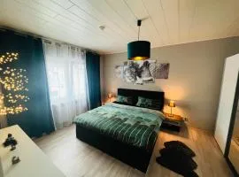 Exklusive großzügige Wohnung