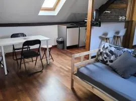 Appart 3 sous combles