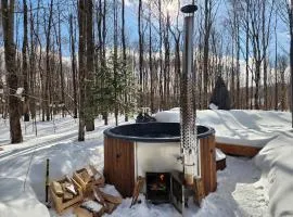 Kartalla - the A frame experience in Tremblant