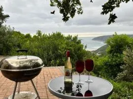 Wild Views Wilderness