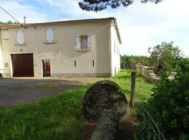 Les hirondelles de montsec