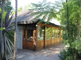 Timeless at Rusticana