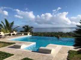 Villa with Stunning Ocean View, Infinity pool, Villa in Las Terrenas