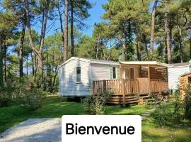 Escale Douceur à Camiers