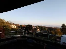 Im Wienerwald