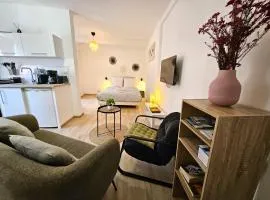 Studio- Hyper Centre Ville