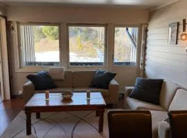 Storehorn apartments, Hemsedal - 2 bedrooms, 5 beds