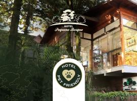 佩克诺博斯克酒店，位于格拉玛多的酒店