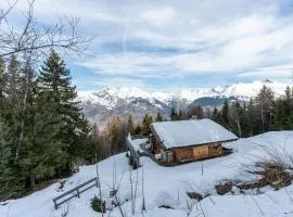 Chalet Plan Devin
