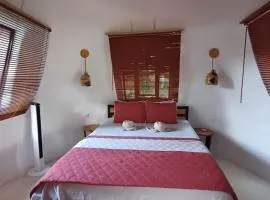Casa Pitufo