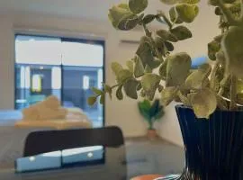 Relaxing CBD Studio