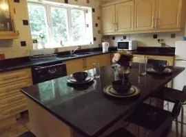 Nice Spacious Room in Coventry