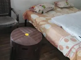 Mount view guest house