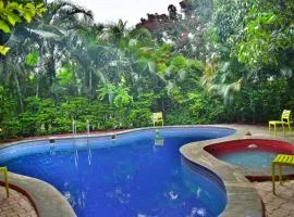 Dolphin Resort