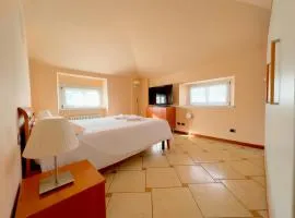 I tetti nel Centro palazzo storico