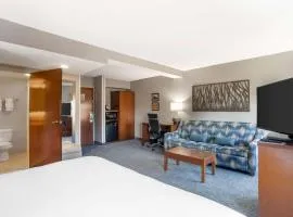 Comfort Suites near Birkdale Village- Huntersville