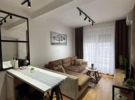 Royal apartmani Vrnjačka Banja