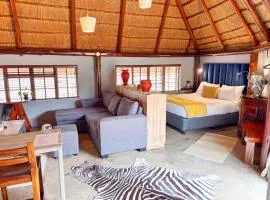 @30 Zebra