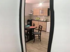 Apartament ultracentral Vatra Dornei