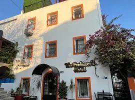 The Professor's Hotel