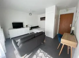 F1 hyper centre avec garage, terrasse 8 m2, lumineux, WIFI