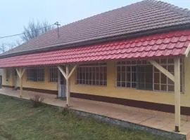 Charming farmhouse in Poroszl in Hungary on the Tisza Lake