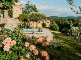 Luxurious Chateau Asa in Sežana