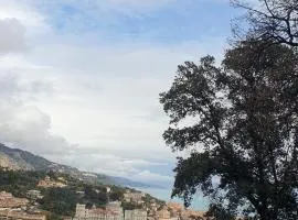 Mini châlet vue mer