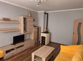 Cosy flat close to the center