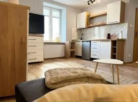 Kawalerka Łódź 51