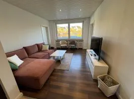 Ferienwohnung Arminius