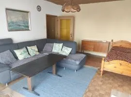 Traun Apartment