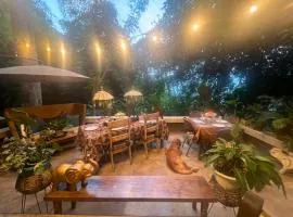 Private suite close to pools, hot springs, falls and more!