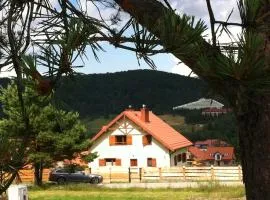 Józefówka - dom z 4 sypialniami, z balią ,dużym tarasem i pięknym widokiem na Wysową